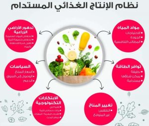 الحكومة تضع إستراتيجية للأمن الغذائي لتفادي الأزمات التي يشهدها العالم