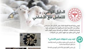 الدليل الوافي للتعامل مع الأضاحي