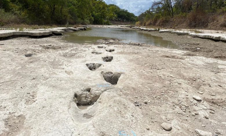 الجفاف يتيح اكتشاف آثار ديناصورات في قاع نهر بولاية تكساس الأميركية