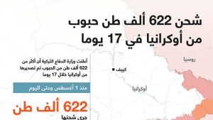شحن 622 ألف طن حبوب من أوكرانيا في 17 يوما