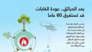 بعد الحرائق.. عودة الغابات قد تستغرق 60 عاما