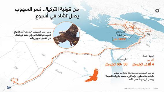 من قونية التركية.. نسر السهوب يصل تشاد في أسبوع