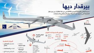 بيرقدار ديها 