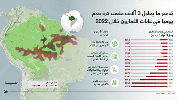 تدمير ما يعادل 3 آلاف ملعب كرة قدم يوميا في غابات الأمازون خلال 2022