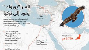 النسر “يوروك” يعود إلى تركيا