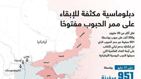 دبلوماسية مكثفة للإبقاء على ممر الحبوب مفتوحًا