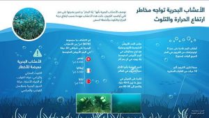 الأعشاب البحرية تواجه مخاطر ارتفاع الحرارة والتلوث