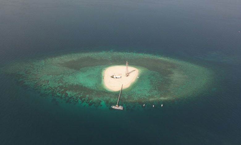 “البيئة”: استزراع المرجان على الميافر البحرية في جزيرة قاروه