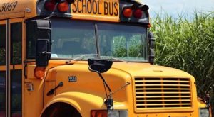 الحافلات المدرسية في أمريكا