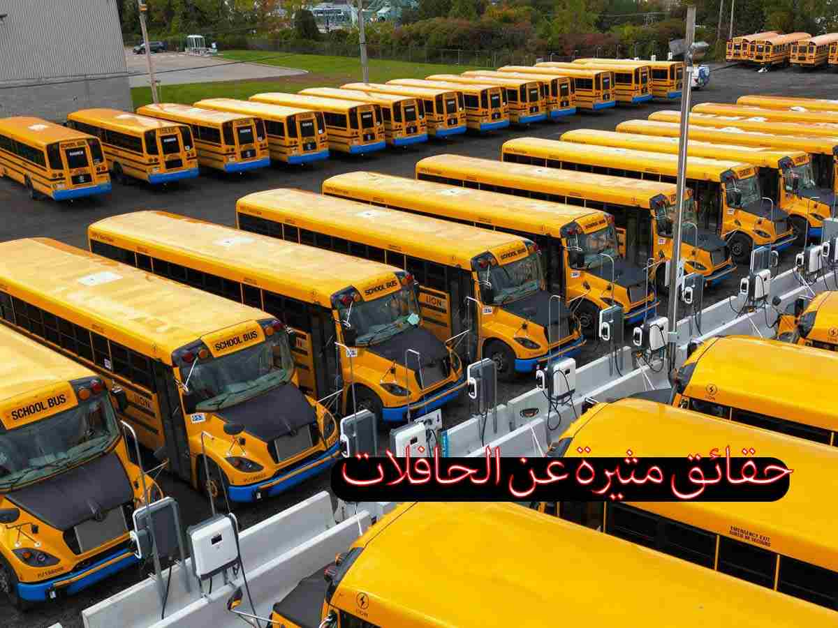 10 حقائق مثيرة عن الحافلات