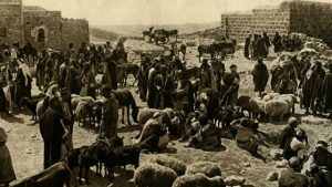 صور قديمة من ارض فلسطين