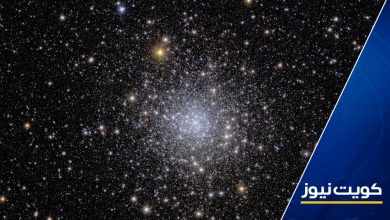 التلسكوب الفضائي الأوروبي “إقليدس” ينشر أولى صوره للكون