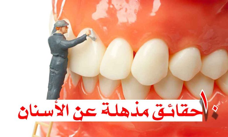 حقائق مذهلة عن الأسنان