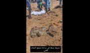 بالفيديو +18؛ مقبرة جماعية في مستشفى الشفا!