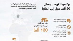 بوتسوانا تهدد بإرسال 20 ألف فيل إلى ألمانيا