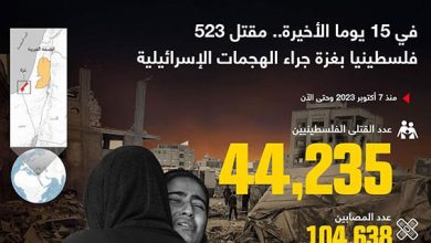 في 15 يوما الأخيرة.. مقتل 523 فلسطينيا بغزة جراء الهجمات الإسرائيلية